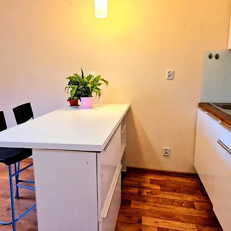 Apartment C.m Centrum Iii *